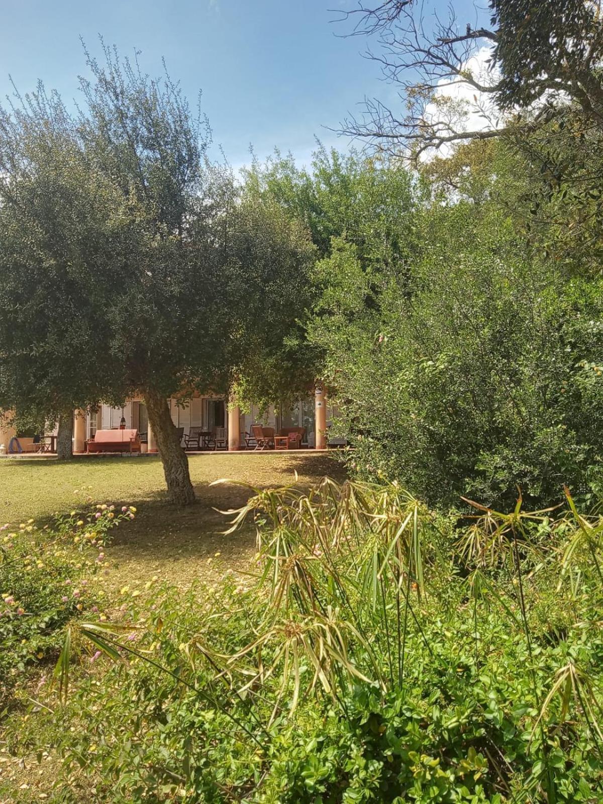 Sotogrande. Estancia Privada En Plena Naturaleza Zewnętrze zdjęcie