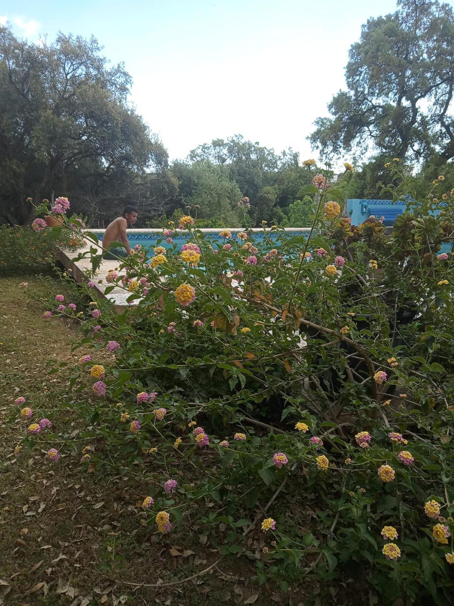 Sotogrande. Estancia Privada En Plena Naturaleza Zewnętrze zdjęcie